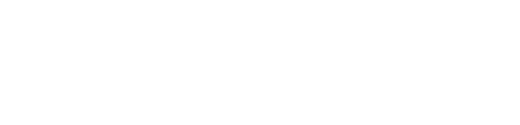 Anthro AV